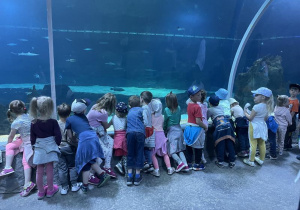 dzieci w szklanym tunelu oglądają ryby